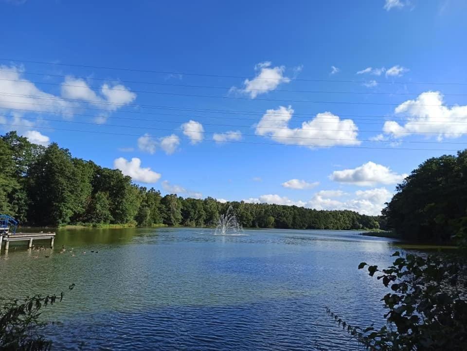 *Dana Pokoje Goscinne Gdansk Exterior foto