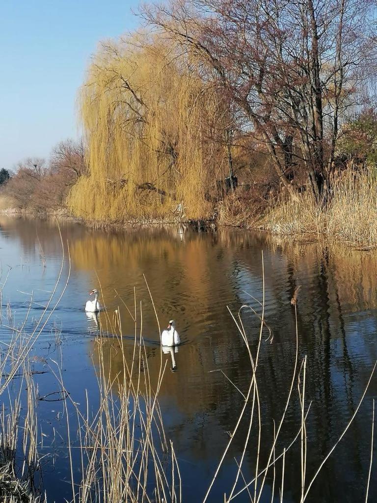 *Dana Pokoje Goscinne Gdansk Exterior foto